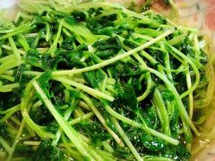 酒香豆苗-沈记菜馆(酒仙桥路店)