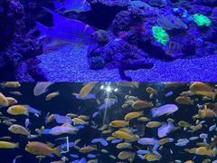 -成都浩海立方海洋公园