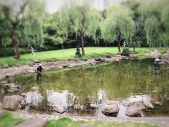 -苏州河梦清园环保主题公园