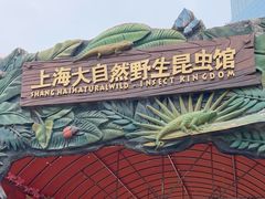 -上海大自然野生昆虫馆(东方明珠·爬宠昆虫探索中心)