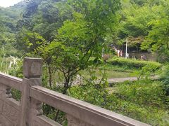 -黔灵山公园