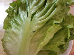 -芳村榕树头叹佬鸡煲(体育西店)