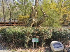 -溱湖国家湿地公园