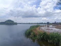 -杭州湾海上花田景区