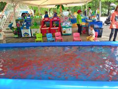 -朝阳公园游乐园