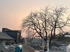 -四喜小胖·北京涮肉(五道营店)