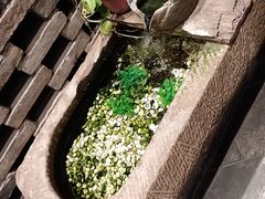 -味鼎长安·地道陕菜(凤城一路店)