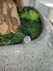 -钻石小鸟钻戒婚戒定制(石路店)