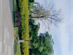-眉山湿地公园(东坡区)