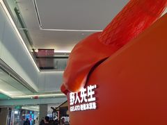 -野人先生现做冰淇淋(北京王府井东方新天地店)