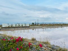 -莺歌海盐场