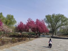 -太阳宫公园