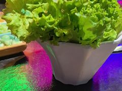 -杨记齐齐哈尔烤肉(总店)