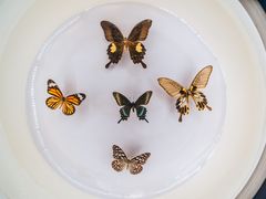 -下渚湖国家湿地公园科普馆