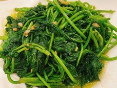 虾酱地瓜叶-龙记烤鸭店(新民路店)