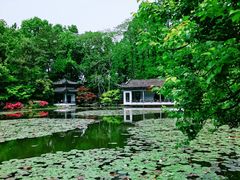 -杭州植物园