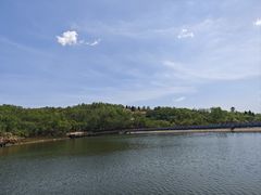 -中国西峡恐龙遗迹园