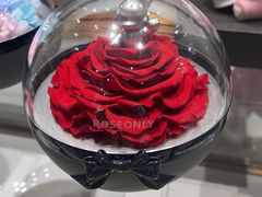 -ROSEONLY诺誓(磐基中心店)