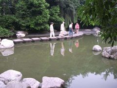 -神仙树公园