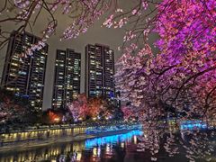 -红星桥(地铁站)