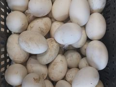 -新东新.融合菜
