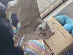 -嘉馨宠物医院·CT影像转诊·心脏科·犬猫全科诊疗中心(下沙大学城院区)