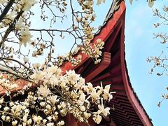 -堤角公园