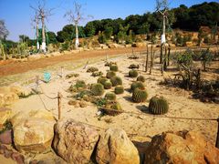 -东莞植物园