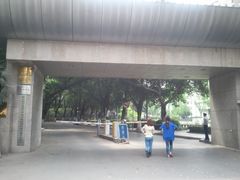 -西南政法大学(沙坪坝校区)