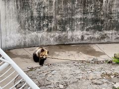-天津市动物园