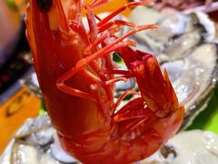 -养牛邓·潮汕牛肉海鲜自助火锅(广州店)