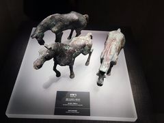 -邯郸市博物馆(新馆)