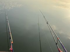 -呼兰河口湿地公园