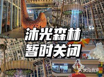 注意!沐光森林暂时关闭
