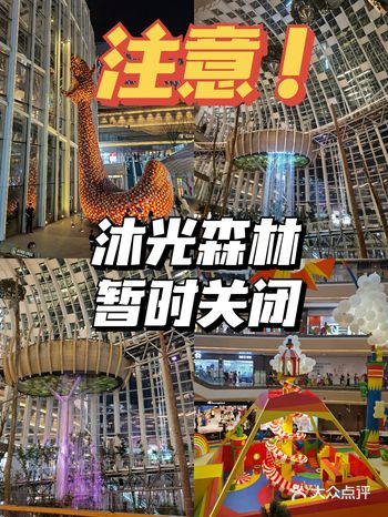 注意！沐光森林暂时关闭