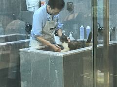 -悠尼宠物·独立低压伊珊娜洗护·美容·寄养(兰谷路店)
