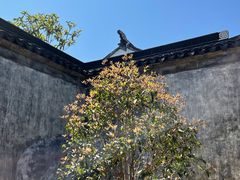 -东山风景区(洞庭东山)