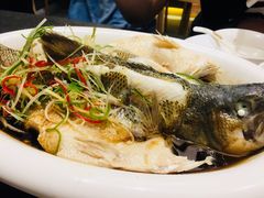 清蒸鲈鱼-东哥紫阳蒸盆子(旺座·现代城店)