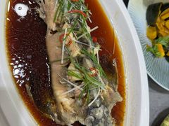 鲟鱼-上庄晋风庄园(上庄店)