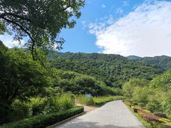 -牛背梁国家森林公园