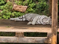 -石家庄市动物园