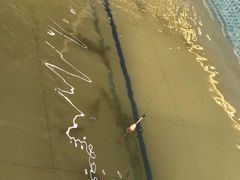 -小象钓虾·营地烧烤(洛溪店)