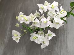 -251#coffee roasters(沿河东路店)