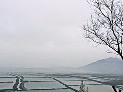 -北岐滩涂