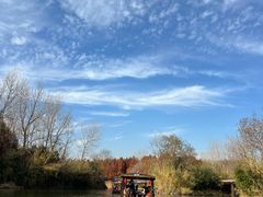 -溱湖国家湿地公园