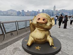 -星光大道