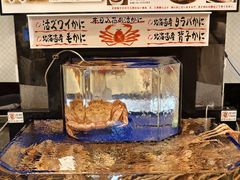 -蟹道乐(道顿堀本店)