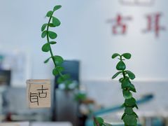 -古耳咖啡(北锣店)