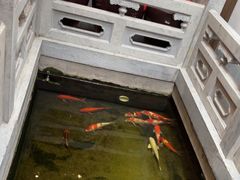 -鲤院·新中式美学·庭院餐厅(夫子庙店)