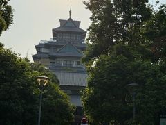-金鸡湖桃花岛